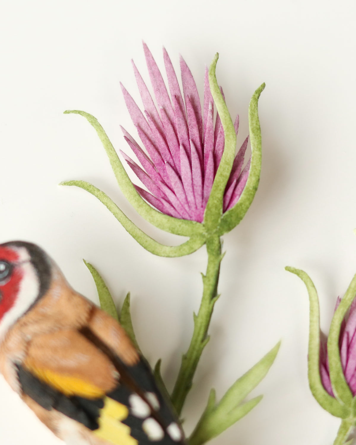 European Goldfinch