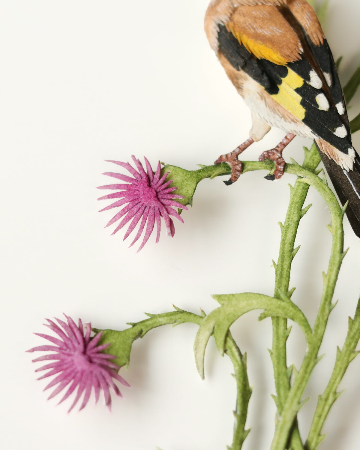 European Goldfinch