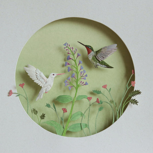 Ruby throated hummingbird