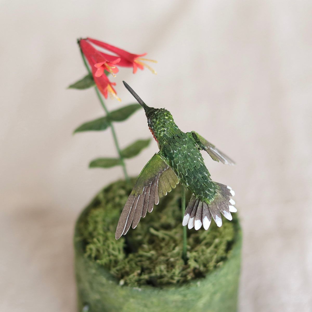 Ruby throated hummingbird Automata