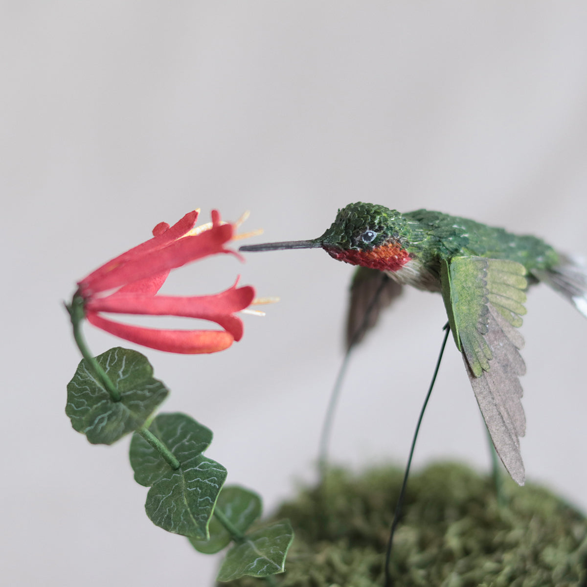 Ruby throated hummingbird Automata